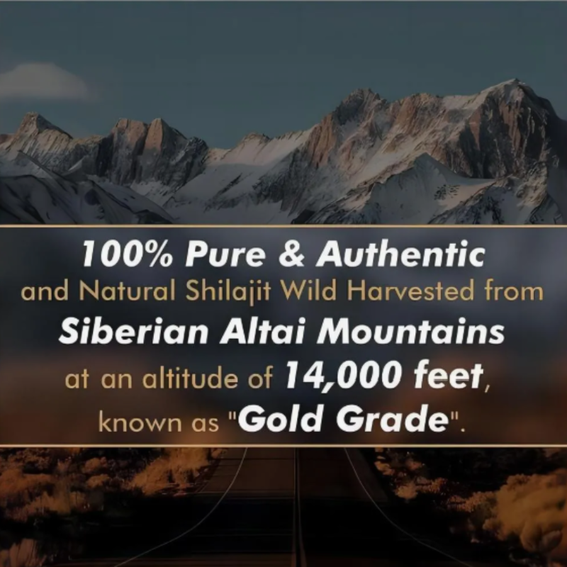 Shilajit- Más Energía, Más Fuerza, Más Vida